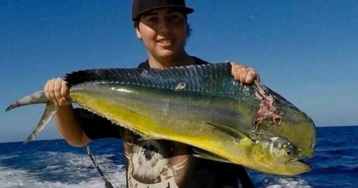 Hilo Deep Sea Fishing Charter Adventure Tours Hawaii