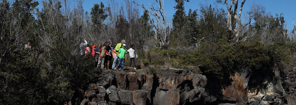 Epic Volcano Park Tour - Adventure Tours Hawaii