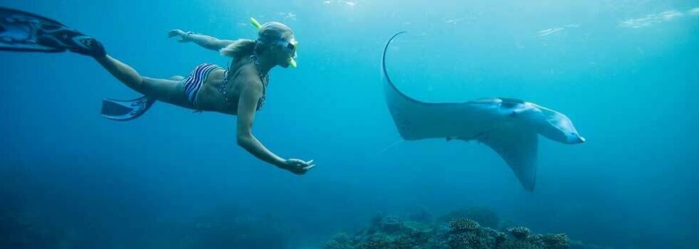 Kona Speed Boat Captain Cook Snorkel Adventure Tours Hawaii