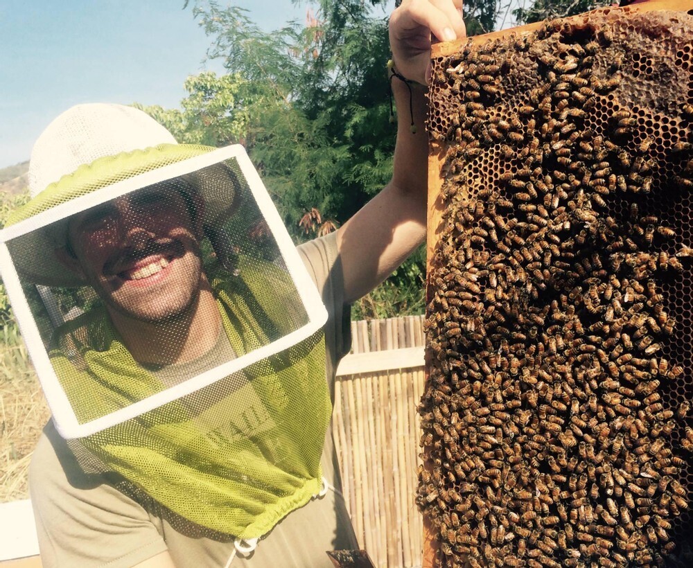 Beekeeping and Honey Tasting Tour Adventure Tours Hawaii