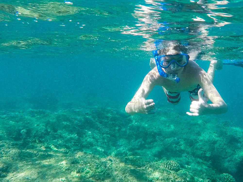 Complete Guide to Snorkeling Hanauma Bay Adventure Tours Hawaii