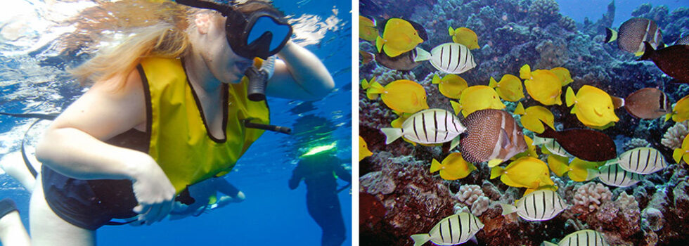 kauai snorkel tours poipu