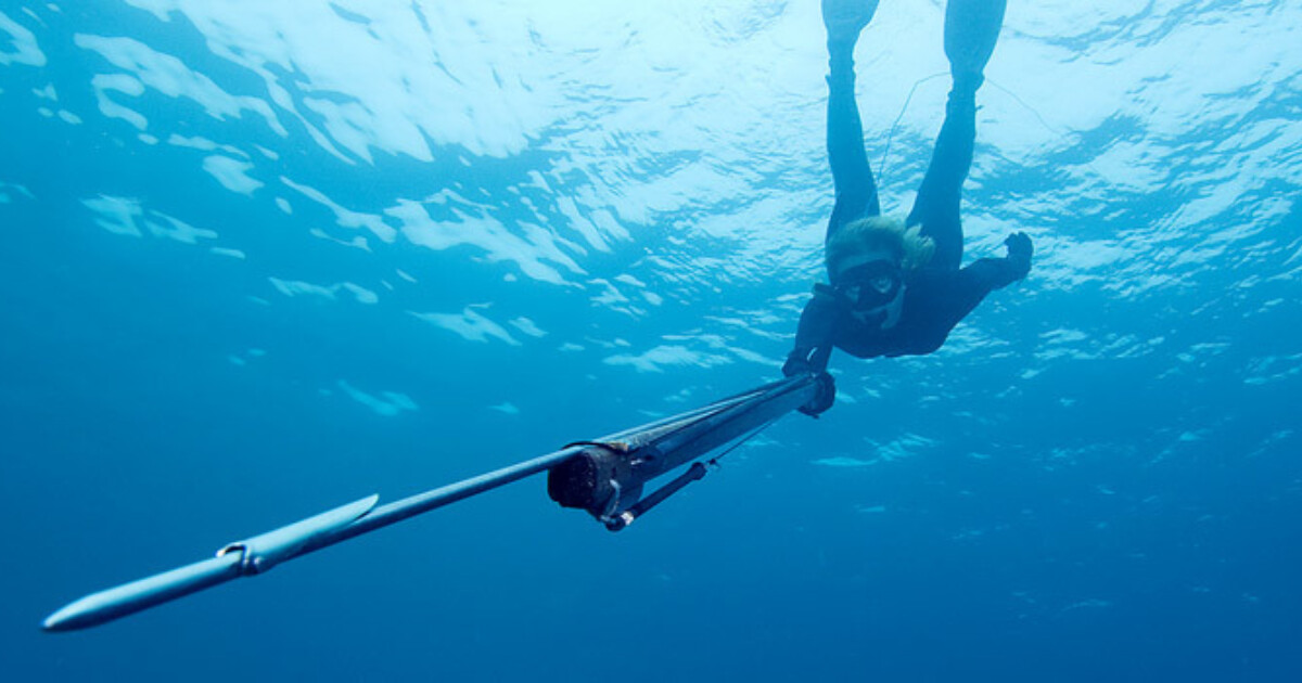 Learn to Spearfish Adventure Tours Hawaii