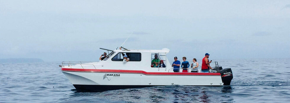 Na Pali Coast Adventure Boat Adventure Tours Hawaii