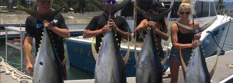 north shore bait and tackle